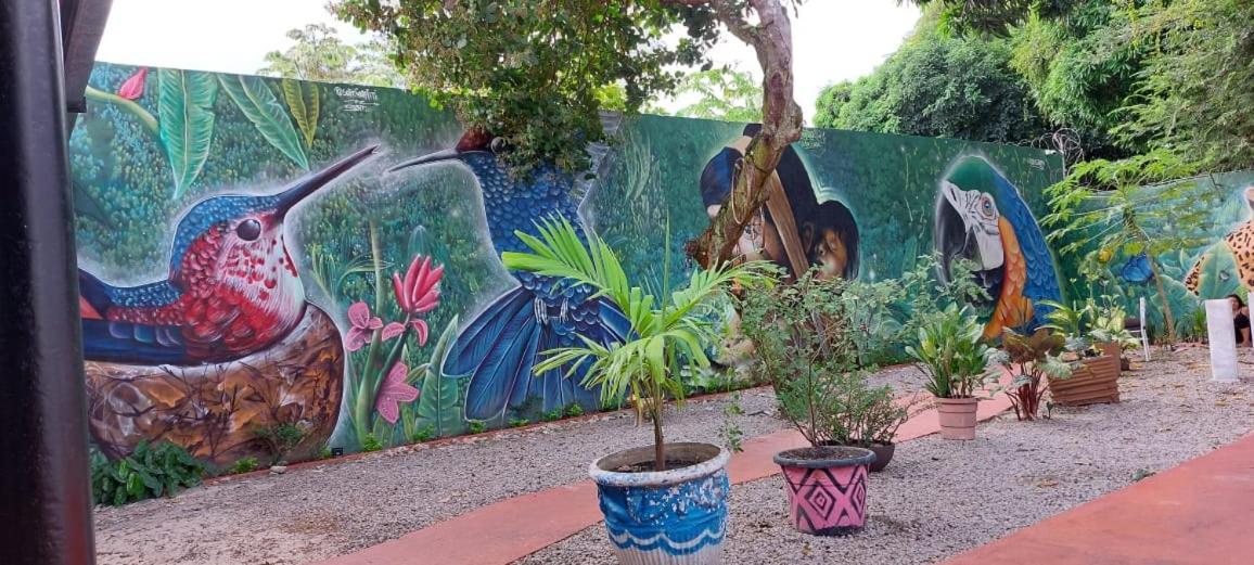 Aldeia Hostel II Manaus Dış mekan fotoğraf