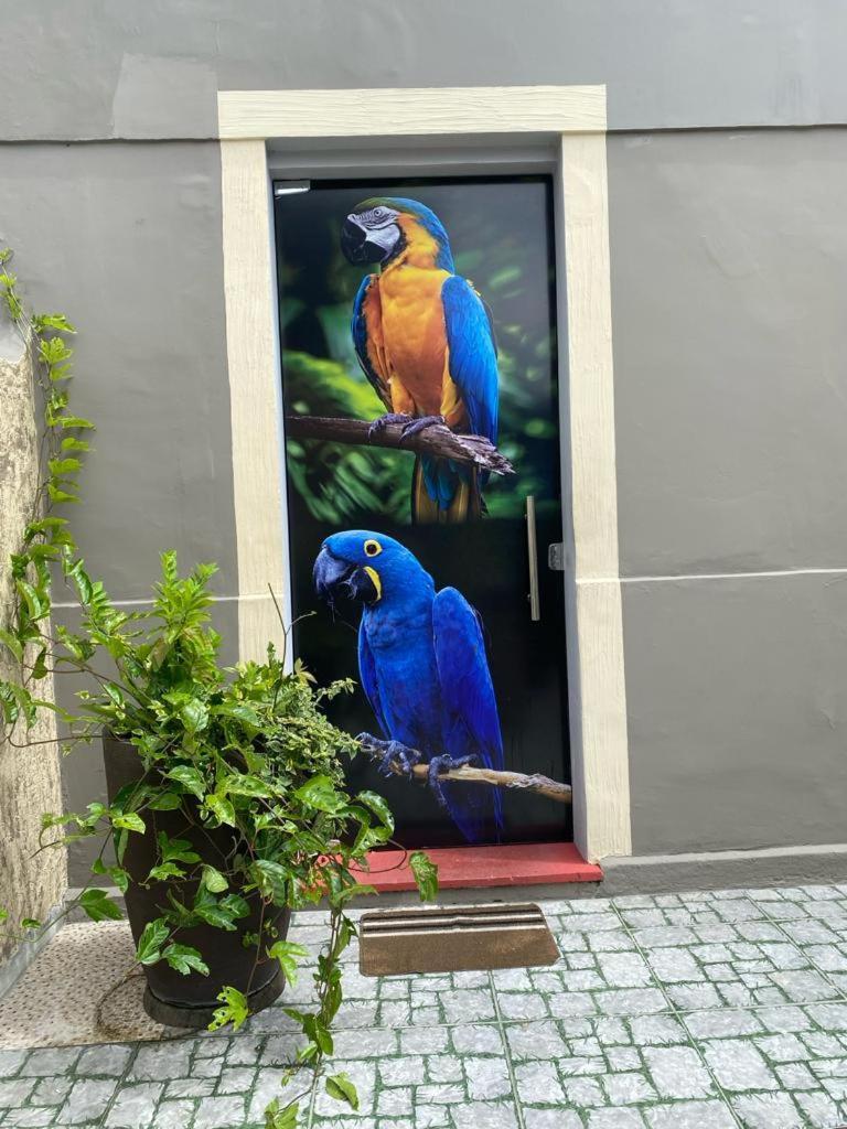 Aldeia Hostel II Manaus Dış mekan fotoğraf